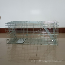 High quality galvanized or PVC coated Humane live multi mouse trap cage